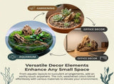 Natural Rocks Dragon Stone, 0.8lbs Decorative Rocks for Miniature Terrariums,Fairy Gardens, Bonsai, V1192-AZ-W-17459