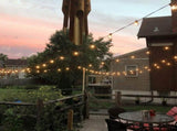 25FT Outdoor Globe String Lights with 25 Warm White Bulbs - Waterproof & Shatterproof LED Festoon V888-ELOSUNG55854