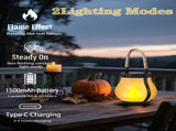 Outdoor solar lights - Solar garden lighting - Solar lantern - Dancing flame outdoor solar lanterns V1188-MS101-00971-1