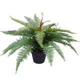 Artificial Potted Fishtail Fern 55cm V637-DP1043026
