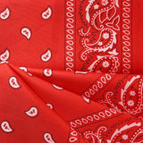 10 Pack Red Paisley Bandanas 55x55cm Polyester Headband Scarf Tie Accessories V1258-DP02-BOL-790