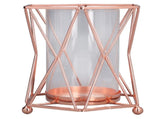 Plant Vase with Wrought Iron Flower Stand Transparent Glass Flower Pot Hydroponic Vase for Living V1294-YM0715-3115210273411
