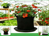 6 Pack 12 inch Self Watering Base for Fabric Grow Bag, Self-watering Plastic Elevated Plant Saucer V1258-DP02-C-524