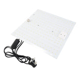 Full Spectrum LED Plant Grow Light Home Succulent Color Indoor Green Plant Flower Replacement Lights V1294-YM0901-L6915UK-2