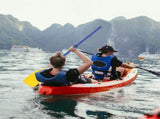1Pair Outdoor Kayak Paddle Black ABS Detachable Design for Easy Use and Storage V1370-AZ4-10918