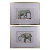 Set 2 Elephant Framed Prints 80cm V637-20824
