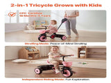 Toddler Tricycle & Stroller for 18 Months to 5 Year Old, Kids Trike with Parent Push Handle, V952-DSTGBDDPHLLBNEG56001V0