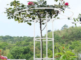 Assembled Umbrella Flower Stand Climbing Vine Plant Easy to Install Garden Plant Support V1294-YM0716-230111QY05-2