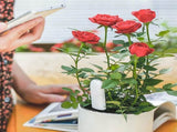 Automatically detect Moisture/Temperature/Light/Fertility,Can Connect to Mobile Phone via V1192-AZ-W-0648