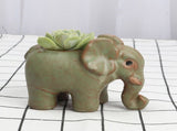 Ceramic Succulent Pot Cartoon Animal Planter Pot for Desk Home Decor V1294-YM0901-3111240123011