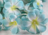 1 Set of 50 LED Tropical Blue Frangipani Flower Battery 5m LONG String Lights Christmas Gift Home V382-BLUEFRANGIBATT50