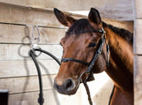 2 Sets Horse Tie Ring, Horse Tack and Supplies Horse Training Equipment Safe Horse Accessories with V1192-AZ-W-2824