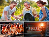 Stainless steel chicken leg and wing rack three-piece set Foldable standing grill baking tray V1105-YASK-003