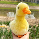 Yellow Chick Stuffed Chicken White 17cm, Plush Toy, Duck Soft Toy Chick Stuffed V1370-AZ4-07031