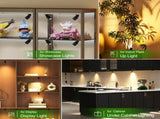 Dimmable LED Mini Spotlight, 12V CCT 2700K-6000K, Adjustable for Display, Cabinet, Showcase, V1171-CC-COM001683-8-AU
