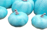 7 Pcs Artificial Pumpkin Cute Lifelike Foam Harvest Pumpkins for Autumn Holiday Decor Sky Blue V1294-YM0901-3115240077511
