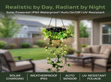 2Pack Solar-Powered Milan Grass Light, Solar Lights Outdoor Waterproof, 66 LED V1107-112-91776-GRN-2PACK