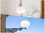 Globe Light Cover Acrylic Lamp Protector Acrylic Outdoor Lamp Shade Light Cover Accessory V1192-AZ-W-28470