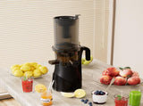 Spector Juicer Cold Press Vegetable Fruit Juice AP0042-BK