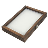 Insect Display Box for Kids, 31x22x4.5cm, Coffee Color, Educational Pinning Kit for Children V1369-AZ3-W-20935