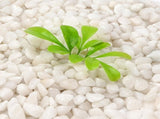 0.12-0.24" Portable Decorative Polished Pebbles,0.77lb Garden Landscaping Pebbles,QZS Decorative V1189-WXFWAL-20260319-00627