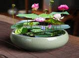 Ceramic Lotus Water Bowl Planter - Indoor Hydroponic Planting Pot Bonsai, Succulent Flower Pot V1369-AZ3-W-15032