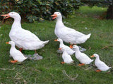 Garden Decoration Synthetic Resin Animal Ornament, Non-Toxic and Safe Duck Statue, Flexible V1370-AZ4-11304