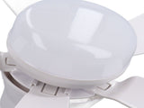 Ceiling Fan Light Dimmable 3 Wind Speed Timer E26 Screw in Ceiling Fan with LED Light for Bedroom V1294-YM0901-3119240075612