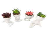 4Pcs Artificial Succulent Plant Cute Ceramic Faux Succulent Flower Pot Decoration Set for Office V1294-YM0901-3115240013111
