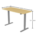 Fortia Sit To Stand Up Standing Desk, 120x60cm, 72-118cm Electric Height Adjustable, 70kg Load, V219-ADKSSTFOWOSV2A