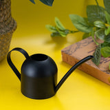 Stainless Steel Watering Can Metal Water Can for Indoor Plants with Long Spout to Prevent Spillage V1366-AZ2-W-11865