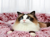 PaWz Pet Bed Memory Foam Dog Donut Pink Large PT1219-L-PK