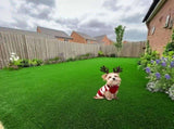 Green Artificial Turf Reusable Artificial Grass Pet Grass For Dogs 2cm Green Base V1102-112-GRE-22104