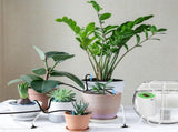 Automatic Plant Watering System Indoor Drip Irrigation Kit with Timer & Pump, Rechargeable V1107-119-09135