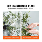 VEVOR Artificial Olive Tree, 152.4 cm Tall Faux Plant, Secure PE Material & Anti-Tip Tilt Protection V952-RZS5FTGLS000D4T3BV0