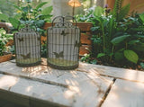 Set 2 Nested 'Butterfly Cages' Wall Planters 71cm, 62cm V637-74138PLN