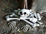 Bag of Skeleton Bones Halloween Decorations, Realistic Skull and Bones Set, Groundbreaker Skeleton V1366-AZ2-W-24873