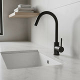 Kitchen Mixer Tap Faucet for Basin Laundry Sink V63-826301