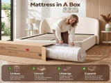 Giselle 20cm Firm Double Mattress Pocket Spring for Bedroom or Guest Room MATTRESS-E-NATURAL-20-D