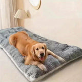 Christmas. A holiday gift for the dog. A warm dog bed in winter. Dog kennel. Dog cage Dog cage V1102-HEGG-003