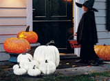 7PCS Simulation Pumpkin Model Artificial Pumpkin Decoration Home Table Decor for Thanksgiving and V1294-YM0717-10122796