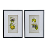 Set 2 Botanical Wall Decor 70cm V637-20984