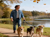 LGCASL 3 Dog Leash No Tangle, Heavy Duty Multiple Dog Lead Shock Absorbing Bungee, Triple Bungee V1189-LWWAL-20260325-02640