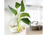 1 Set Fish Tank Decorative Wall Mounted Hanging Flower Vase-Transparent V1263-JX-446