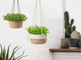 2PCS Braided Plant Basket Hanging Plant Pots Plant Hanger Plant Basket Wall Decoration Flower Pots V1294-YM0717-10071364