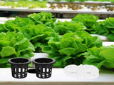 Hydroponic Plant Growing Kit with Cotton Rope Holder and Durable Plastic Components for Indoor V1370-AZ4-16174