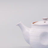 Teapot 300ml Speckled White Glaze V637-C0881