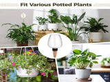 4PCS Plant Watering Globes, 11.8oz Self-watering Bulbs, Automatic Plant Waterer System, Clear V1192-AZ-W-18393