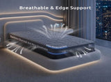 Levitex Single Mattress 25 cm Hybrid Pocket Spring with 4cm Egg Crate Foam for Deep Sleep Bamboo MATTRESS-LV-LUMINA-25-S