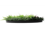 Slimline Artificial Green Wall Disc Art 80cm Grassy Fern UV Resistant V637-DP9854